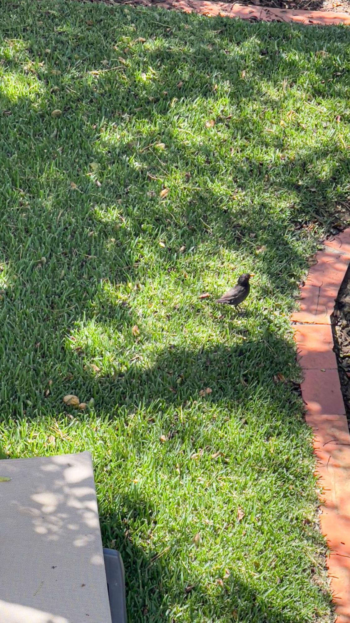 Verde Pino Vilamoura Eksteriør bilde