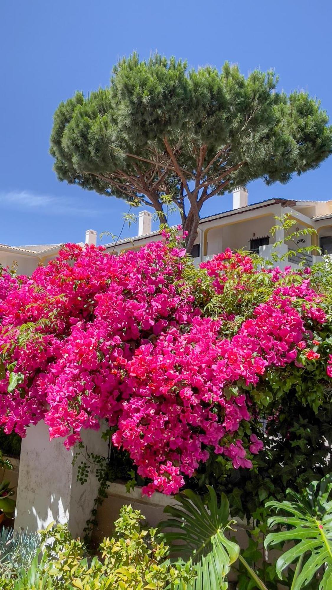 Verde Pino Vilamoura Eksteriør bilde